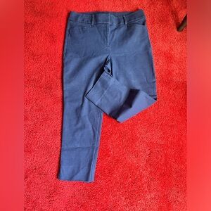 Ann Taylor Loft Julie Riveira Pants
